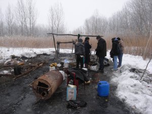 Burnt down jungle